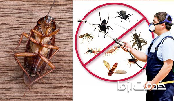 سمپاشی نگارین
